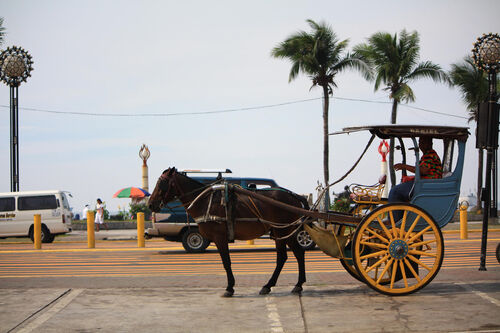 Dumaguete Kalesa